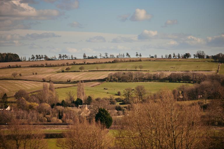 Landscape in Oxfordshire with fields and hedgerows